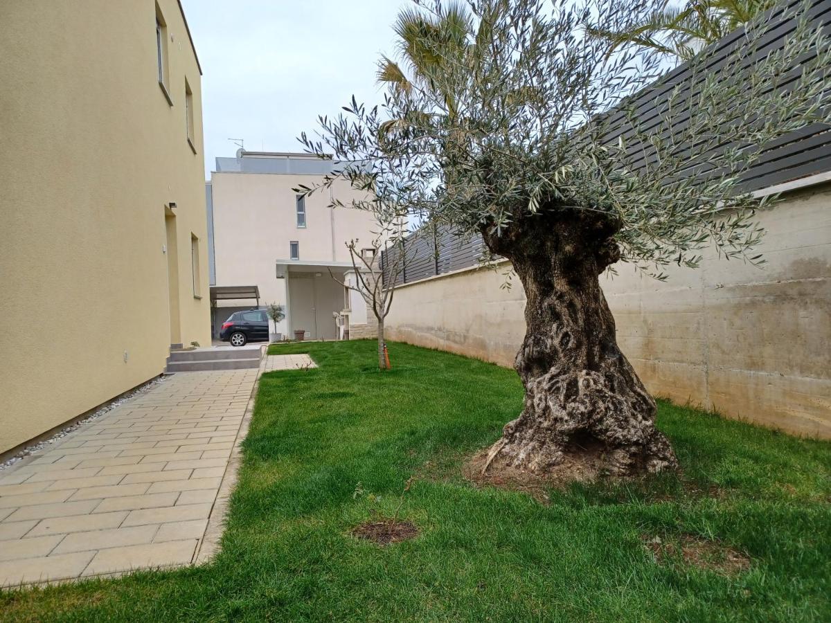 Apartments Leon 1 Novigrad  Exterior photo